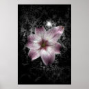 Search for glorious art Bloom