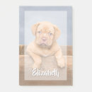 Search for photo post it notes Cute