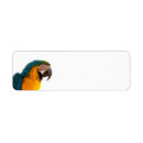Search for post labels Fun