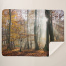 Search for rays photography Trees