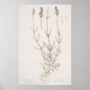 Search for magic spell posters Occult