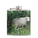 Search for sheep flasks Funny