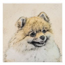 Search for pomeranian posters Puppy
