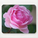Search for celebrate spring mousepads Pink