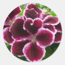 Search for regal stickers Nature