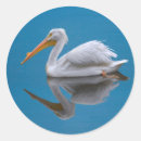 Search for fowls stickers Wildlife