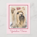 Search for yorkie puppy postcards Gold