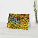 Search for marigold flower cards Floral