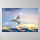 Search for flying dove art Bird