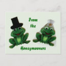 Search for froggie postcards Frogs