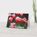 Search for red tulip cards Floral