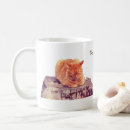 Search for cute orange tabby cats mugs For her