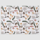 Search for fern tissue paper Trendy