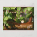 Search for baby frog postcards Pond