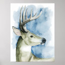 Search for stag posters Deer