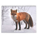 Search for tail office supplies Fox