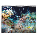 Search for scuba diving calendars Reef