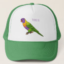 Search for lorikeet parrot accessories Australia