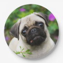 Search for pug plates Dog lovers