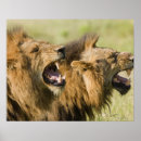 Search for african art posters Outdoors