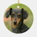 Search for miniature dachshund christmas tree decorations Bob and pam langrish