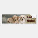 Search for labrador bumper stickers Labs