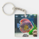 Search for cute fish key rings Aquarium