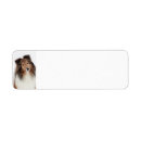Search for sheltie return address labels Dogs