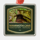 Search for cave christmas tree decorations Mammoth cave national park