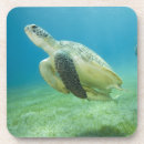 Search for turtle barware Diving