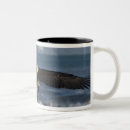 Search for alaska eagle mugs Flying