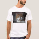 Search for orange and white tshirts Pets