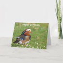 Search for nature lover birthday cards Wildlife