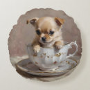 Search for chihuahua cushions Cute