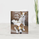 Search for papillon cards Puppies