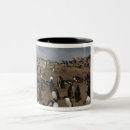 Search for colony mugs Coast