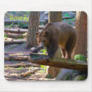 Search for bear lovers mousepads Nature