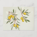 Search for olive postcards Elegant