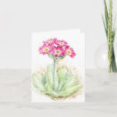 Search for primula cards Floral