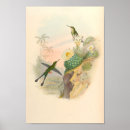 Search for vintage cactus art Flowers