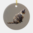 Search for brown tabby cat christmas tree decorations Pet