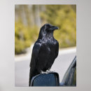 Search for raven art Bird