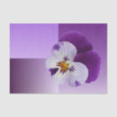 Search for transparent tissue paper Purple