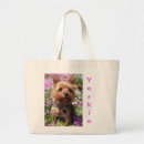Search for yorkshire terrier bags Dog
