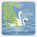 Search for pairs stickers Birds