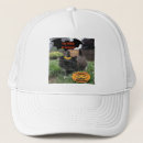 Search for black bat hats Orange