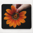 Search for touches mousepads Photography