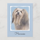 Search for bichon postcards Havanese