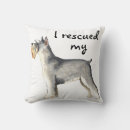Search for miniature schnauzer cushions Terrier