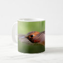 Search for bird feeder mugs Hummingbirds